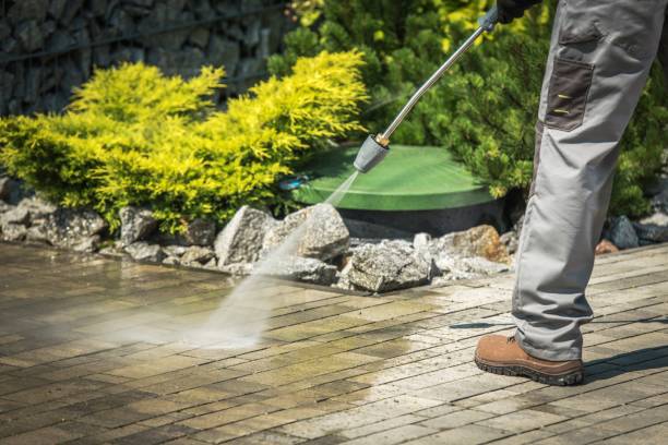 Best Sidewalk and Walkway Cleaning  in St George, SC